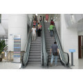 VVVF shopping mall escalator prix en Chine